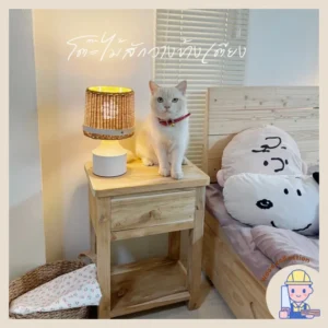 โต๊ะวางข้างเตียงมีลิ้นชัก โต๊ะข้างเตียง