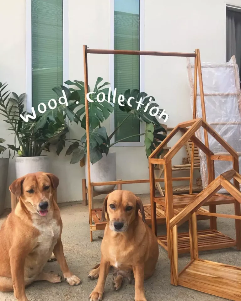 Pet-Friendly Furniture: เฟอร์นิเจอร์ไม้สักที่เป็นมิตรกับสัตว์เลี้ยง