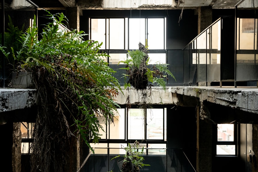 Photo Biophilic Design