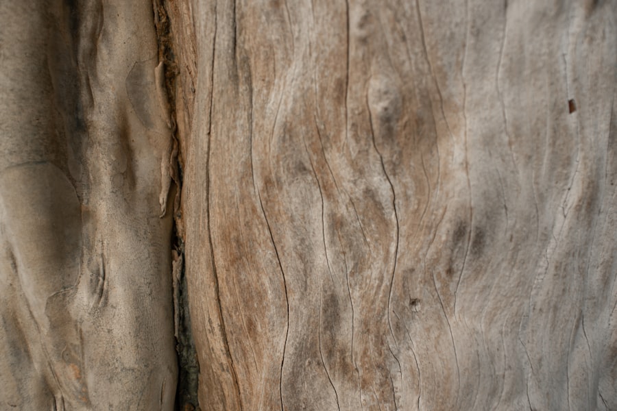 furniture wood teak