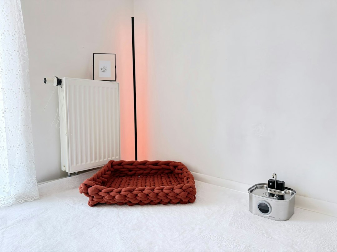 Photo furniture care