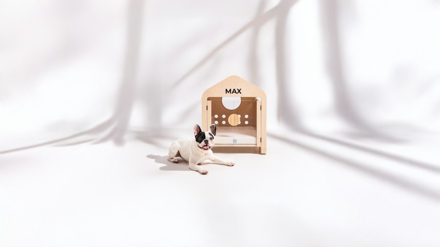 Photo furniture care